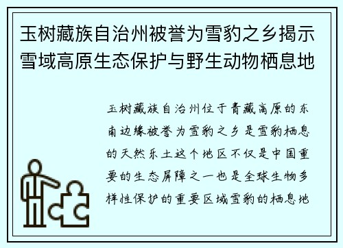 玉树藏族自治州被誉为雪豹之乡揭示雪域高原生态保护与野生动物栖息地的和谐共生