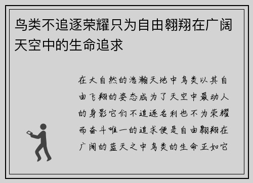 鸟类不追逐荣耀只为自由翱翔在广阔天空中的生命追求